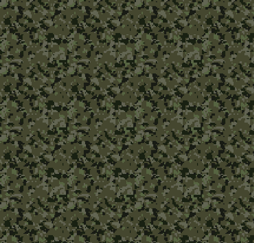 Файл:AAF Camo.png