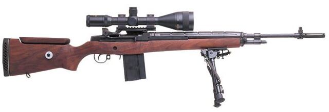 File:M21.jpg