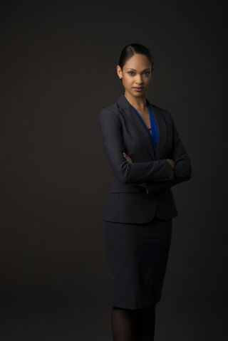 Datei:Amanda Waller.jpg