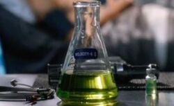 UserBlog-Primus95-5