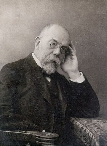 Ficheiro:437px-Robert Koch.jpg