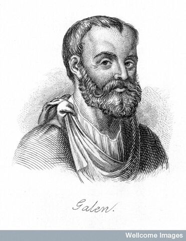 Ficheiro:Galeno.jpg