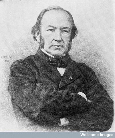 Ficheiro:Bernard.jpg