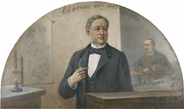 Ficheiro:Theodor.jpg