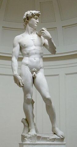 Archivo:David-Miguel-Angel.jpg