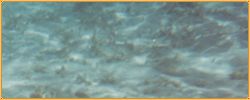 Wasser.jpg