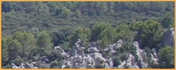 Arachwald.jpg