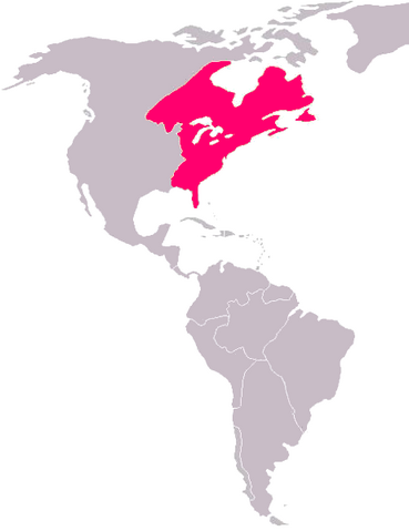 File:British North America.png