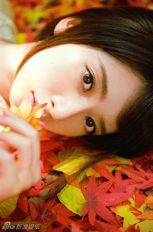 File:704 1429995 824169.png