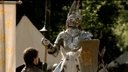 Knight of Flowers.jpg