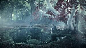 800px-Winterfell Godswood.jpg