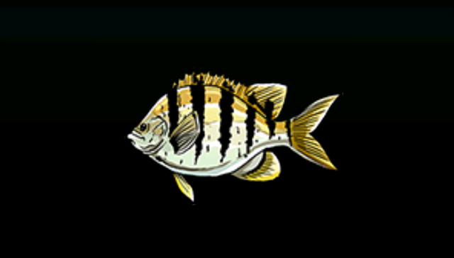 File:SergeantMajorACP.png