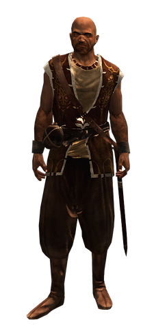 File:AC1 Abul Guard.png