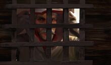 PL-THE ASYLUM.jpg