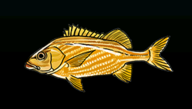 File:FrenchGruntACP.png