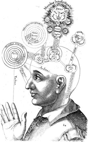 File:Consciousness study.jpg