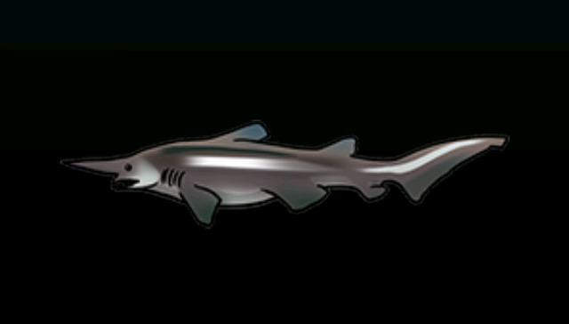 File:GoblinSharkACP.png