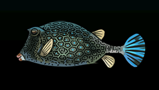 File:HoneycombCowfishACP.png