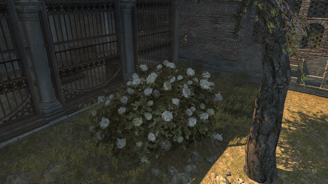 File:ACR Bush.png