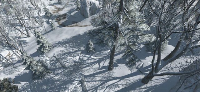 File:Snow covered forest in the Frontier.jpg