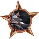 Plik:Badge-607-1.png