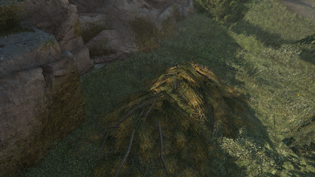 File:AC3 foliage pile.png