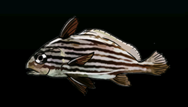 File:HighhatACP.png