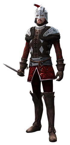 File:Guard-agile-ACB.png