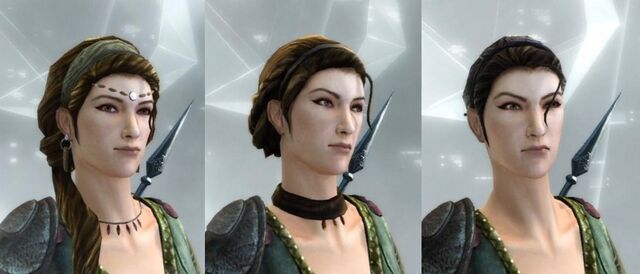 File:Brigand head visual.jpg