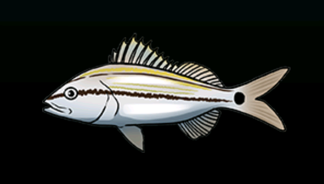 File:TomtateACP.png