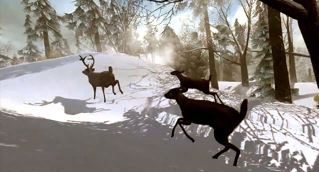 File:Fleeing-deer.jpg