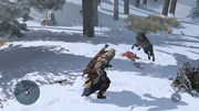 AC3-gameplay-wolf (1)