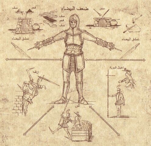 Fichier:Codex 13.jpg