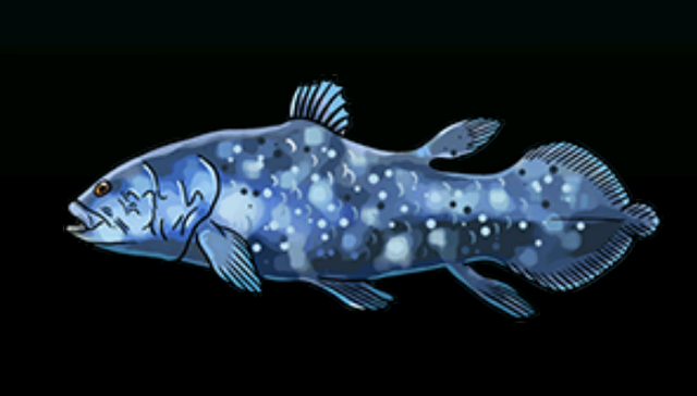 File:CoelacanthACP.png