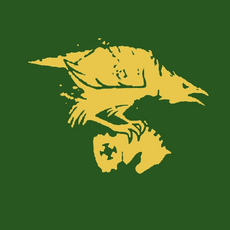 Flaga skokirów.png