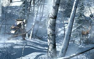 ACIII9.jpg