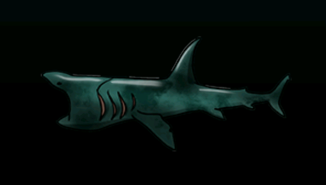 File:BaskingSharkACP.png