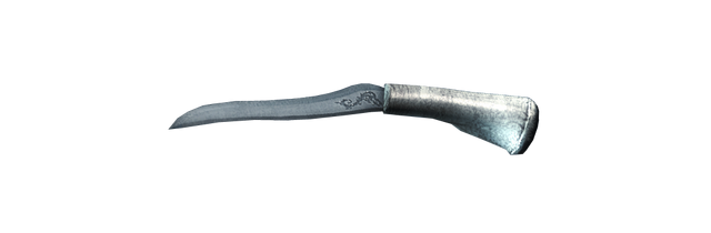File:AC3 Iron Dagger.png