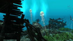 AC4 Jellyfish