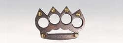 ACS Lion Claws