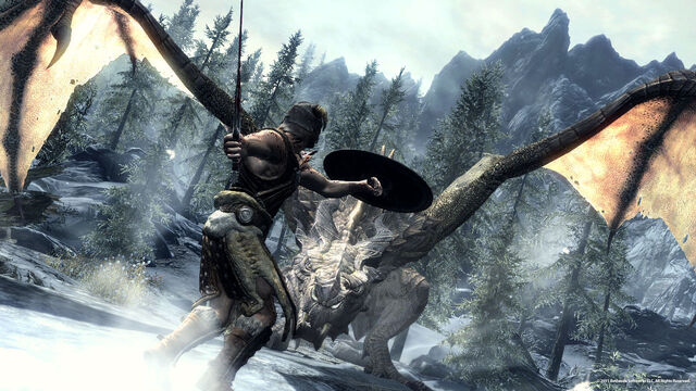 File:DragonFight.jpg