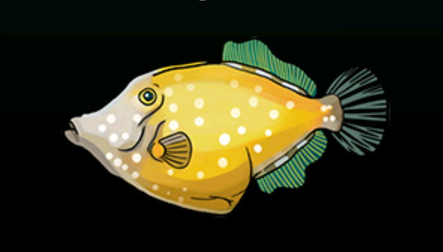 File:White-SpottedFilefishACP.png