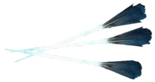 AC4 Sleep Darts.png