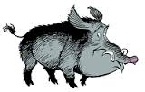 Sanglier2.jpg