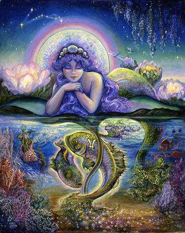 Archivo:Web pisces.jpg