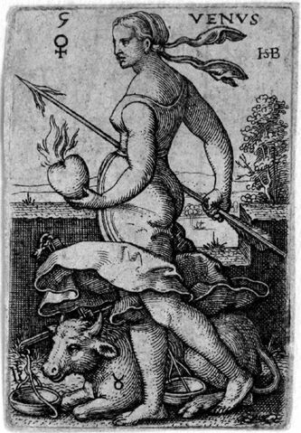 Archivo:Venus.jpg