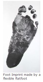 Photo C