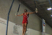Iron-cross