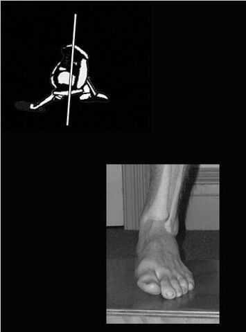 File:Hip Drive Np.jpg