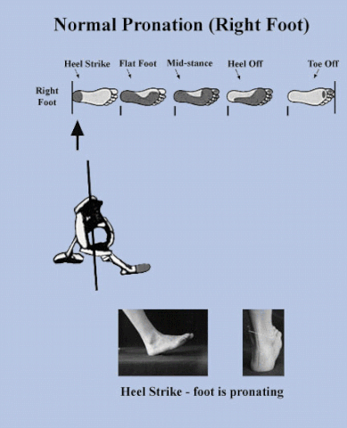 File:Hip Drive Pronation.gif